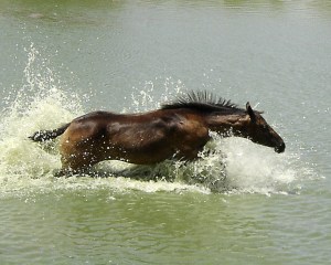 Great Weather For a Swim!